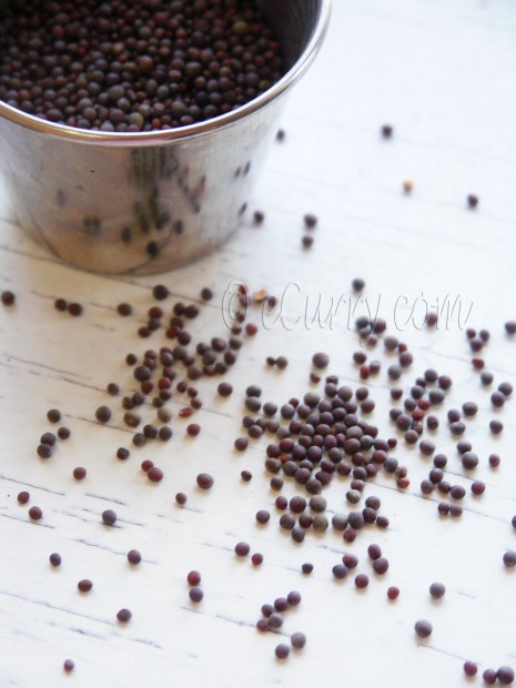 Mustard seeds/Rai