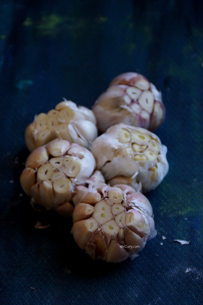 Garlic 7531_1