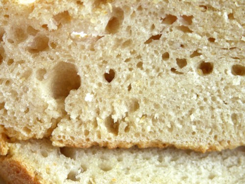 no-knead-bread-5