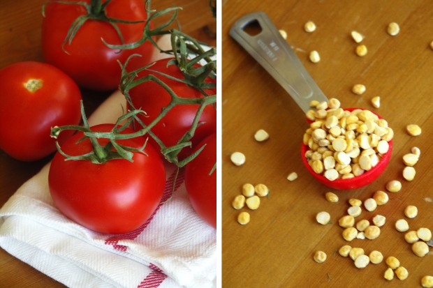 Roasted Tomatoes and Lentil Dip