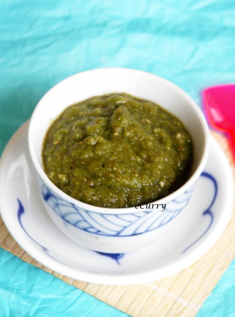 Cilantro Mint and Radish Chutney