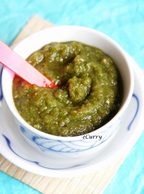 Cilantro Mint and Radish Chutney