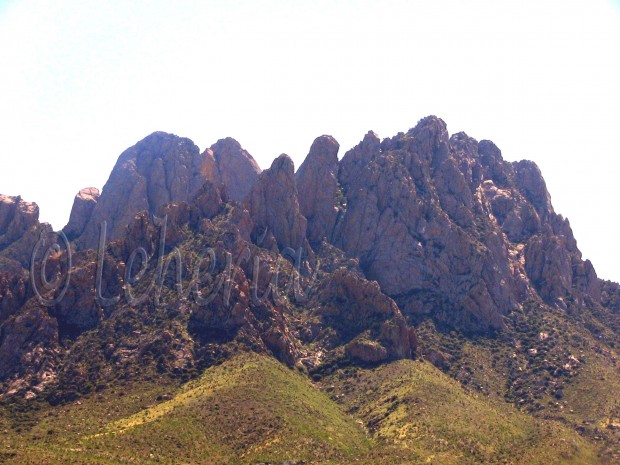 Organ Mountains