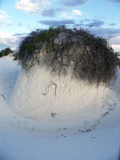 White Sands National Monument