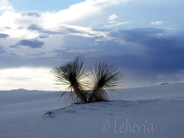 White Sands National Monument