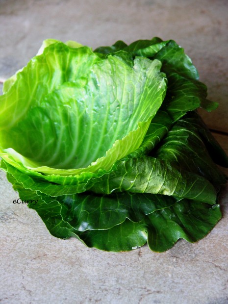 Cabbage Leaves