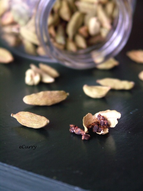 Cardamom