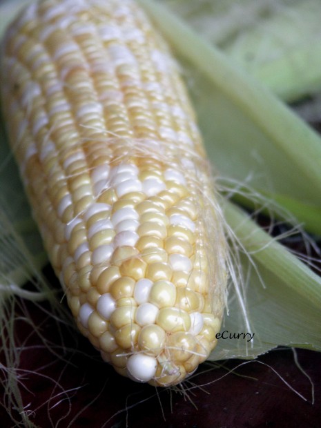 Corn