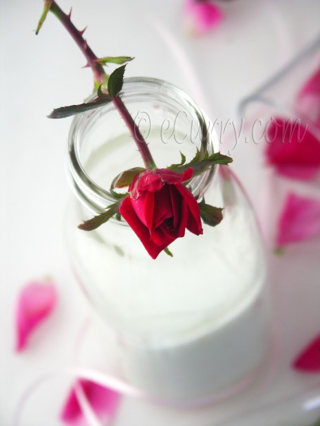 Rose Milk