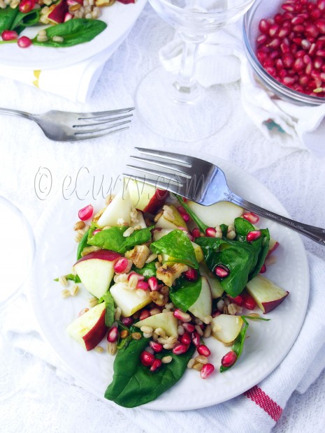 Barley and Spinach Fall Salad