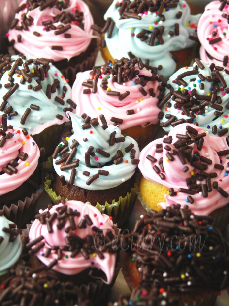 Chocolate Cupcakes