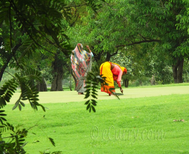 rajasthan