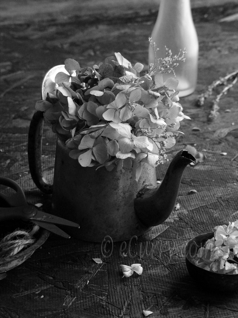 Flowers in a teapot