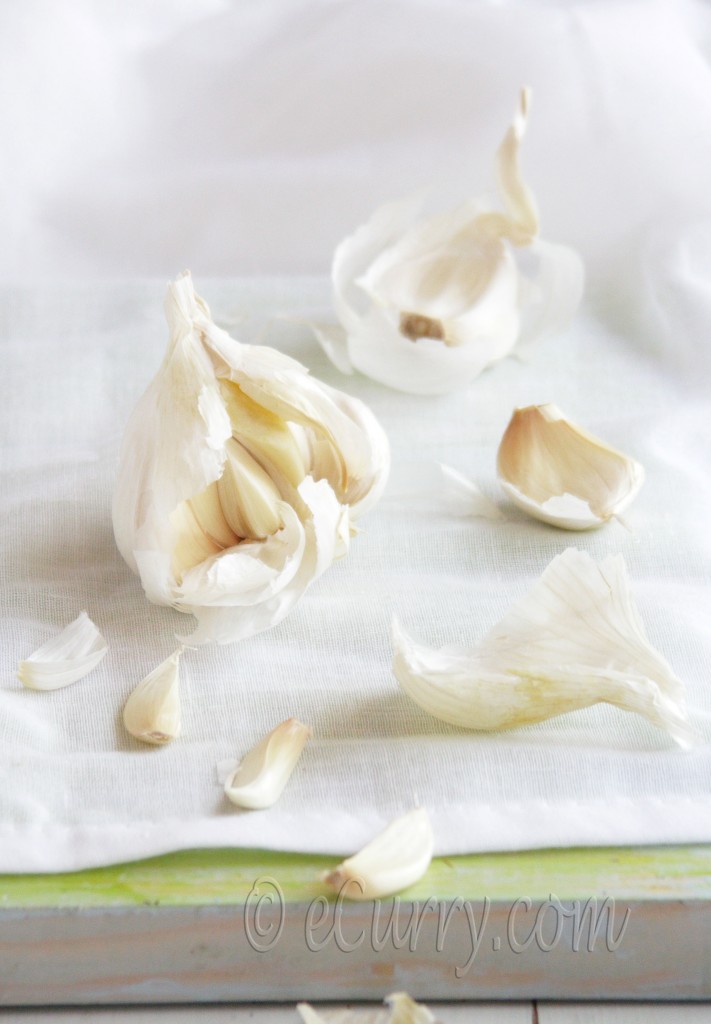 Garlic 