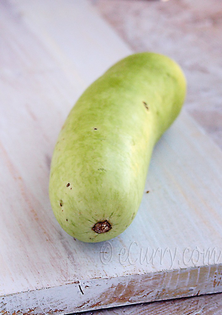 Lagenaria siceraria, Lagenaria vulgaris,calabash, bottle gourd, opo squash, lauki. dudhi, long melon