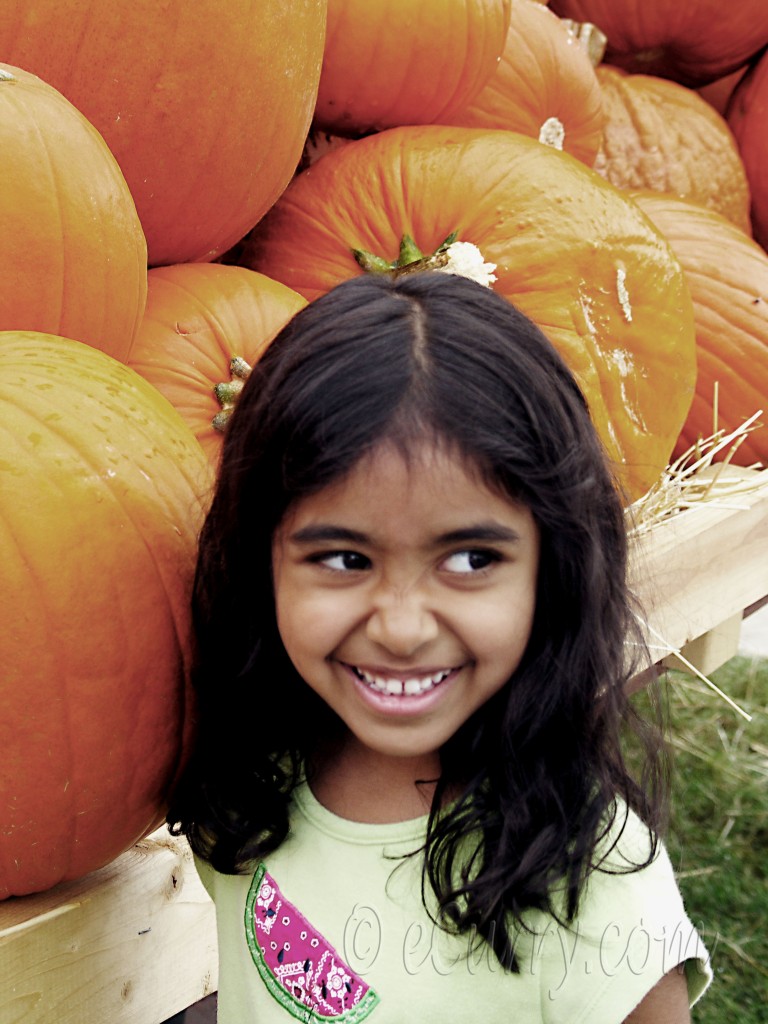 in the pumpkin patch