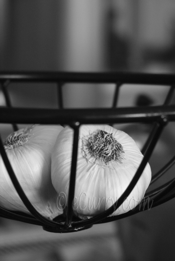 garlic, black and white photography,