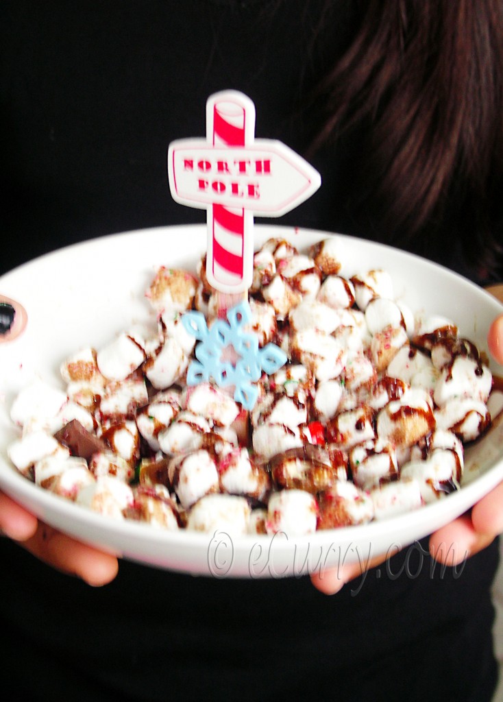 north pole in a bowl