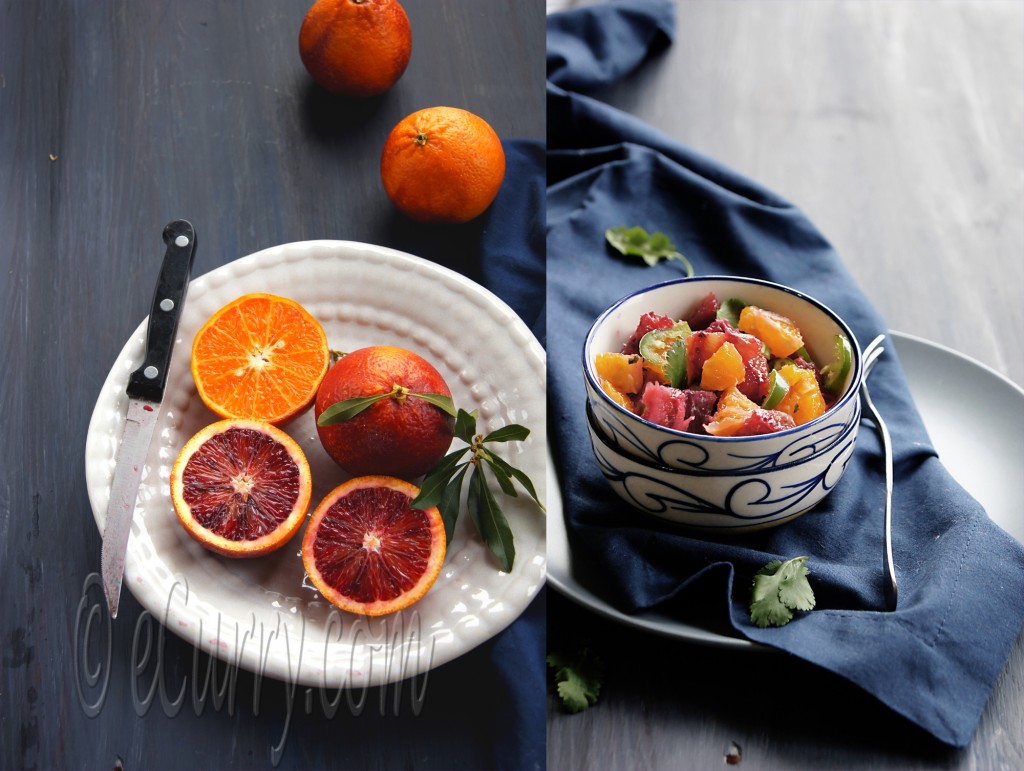 Blood Orange Salsa Diptych