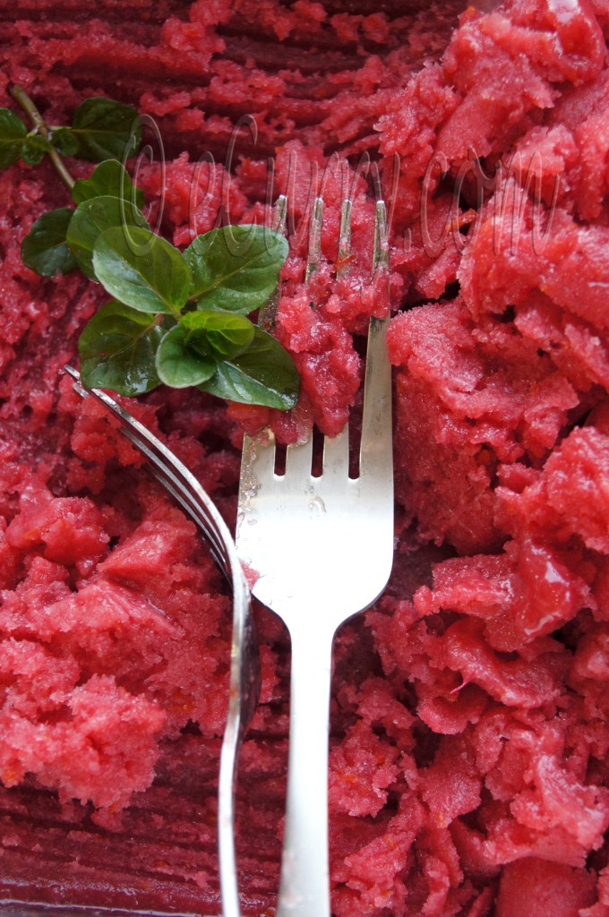 blood orange granita