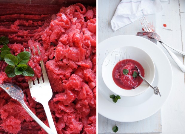 blood orange granita diptych