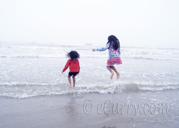 leaping over the waves/ocean