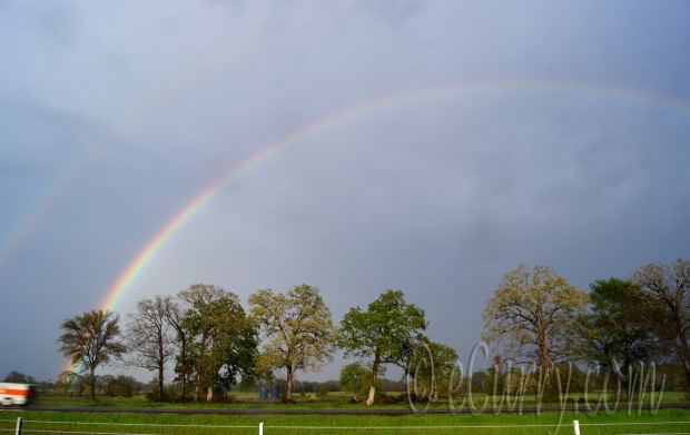 rainbow, after rain