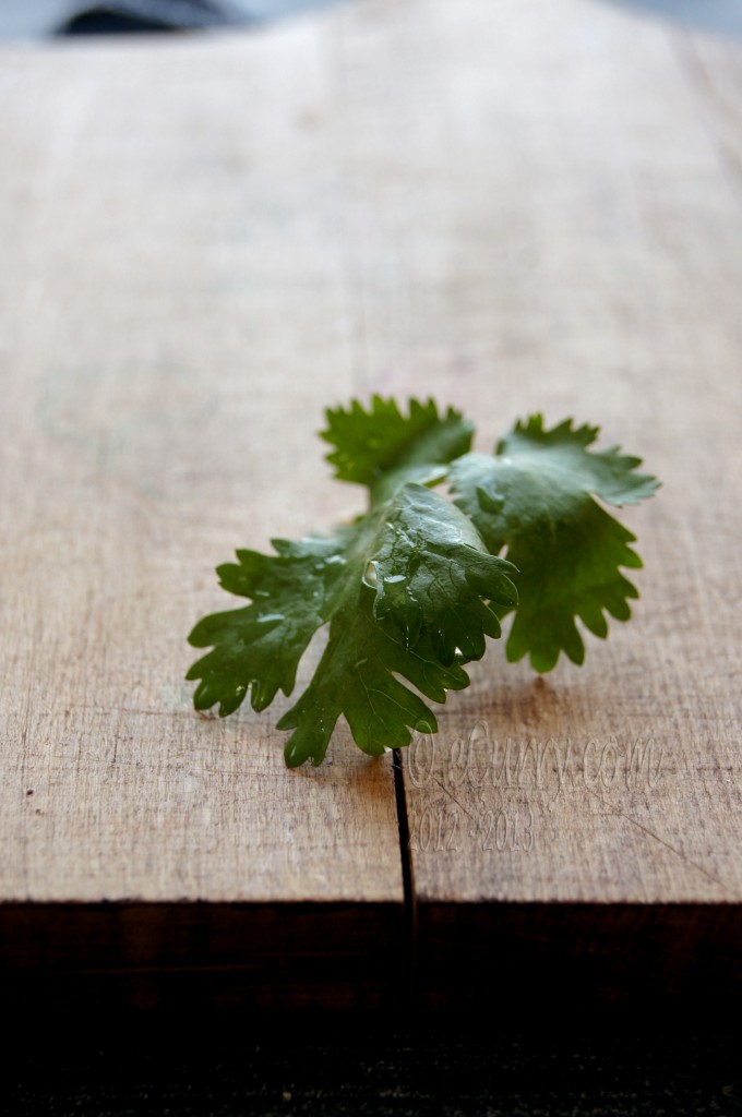 Coriander/Cilantro