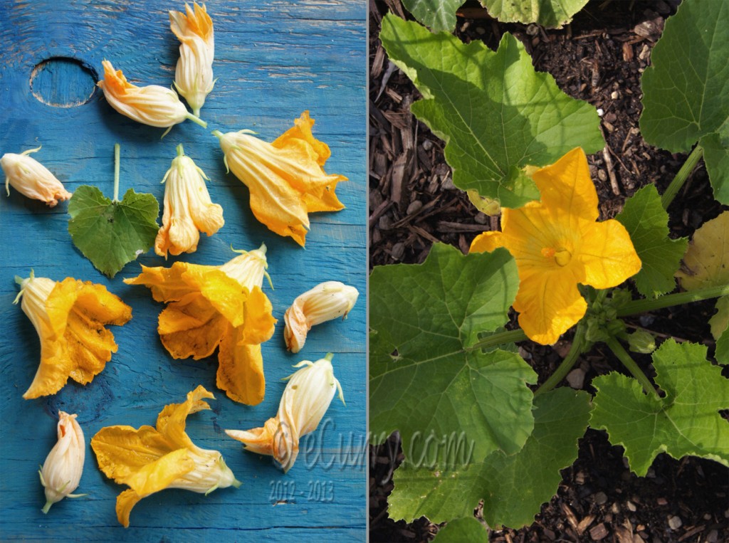 zucchini fritters diptych