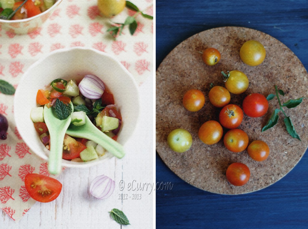 Kachumber- Cucumber Tomato Salad Diptych 1