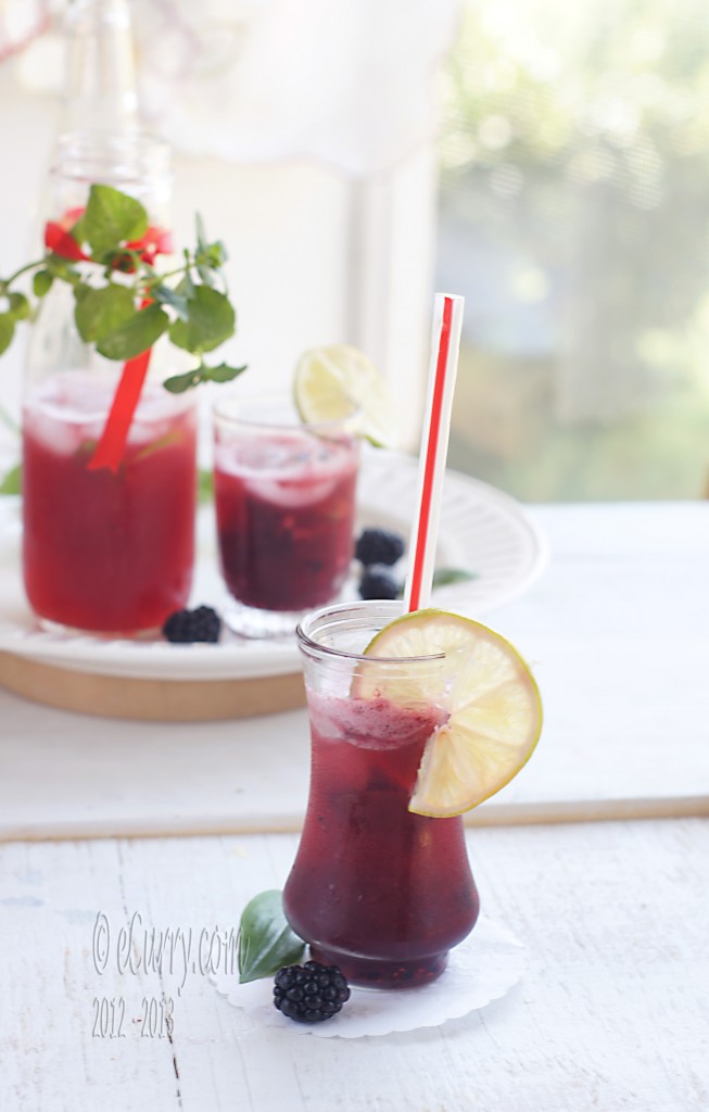 A-Berry-Minty-Spritzer-4.jpg