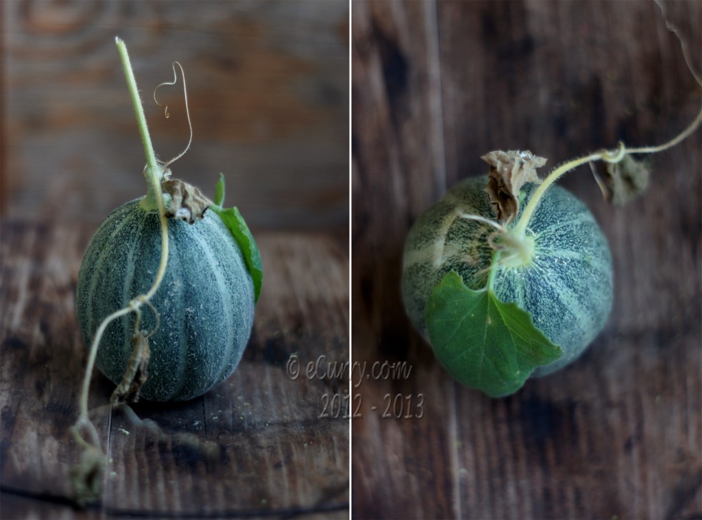 Cantaloupe Diptych  1