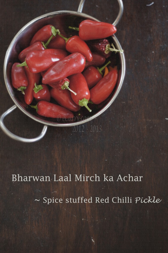 Mirchi-hot-chili-pepper-3