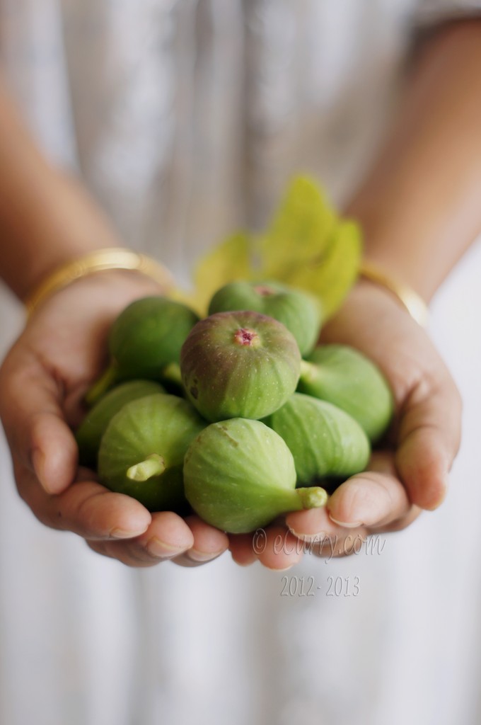  figs-1.jpg