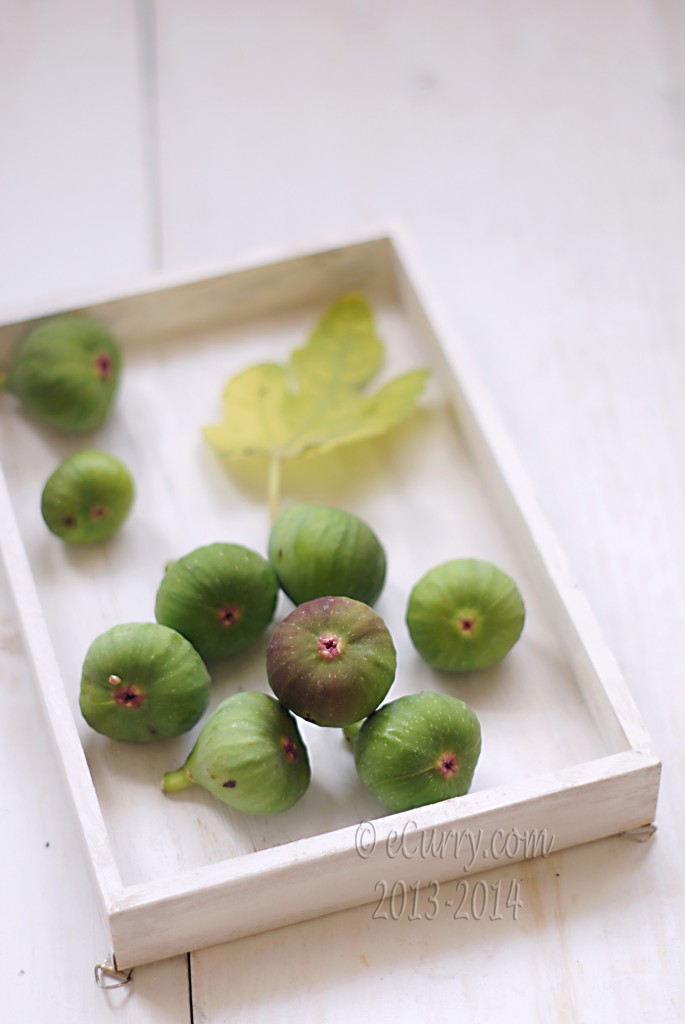 figs-3.jpg