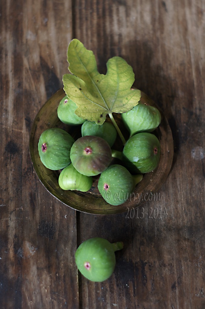 figs-7.jpg