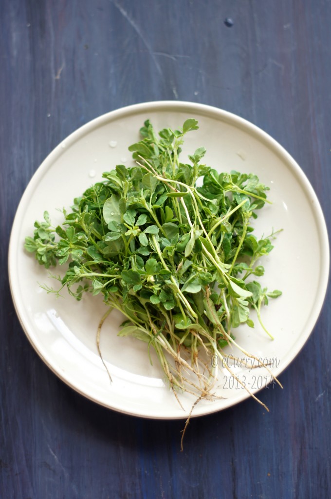 fresh-methi-1.jpg