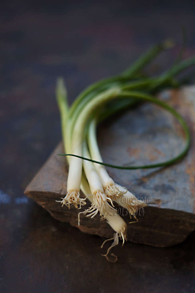 spring-onion-1.jpg