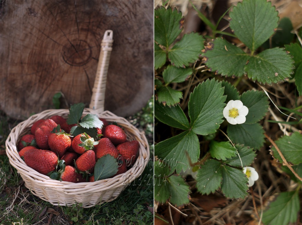 Strawberries Diptych 1