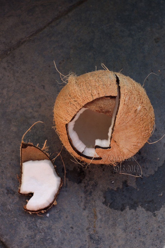 coconut-10.jpg