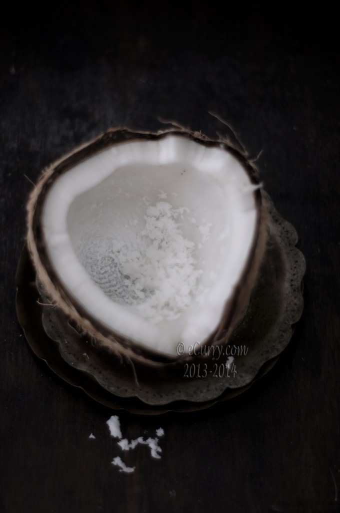 coconut-16.jpg