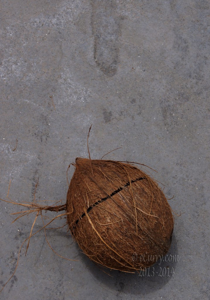 coconut-6.jpg