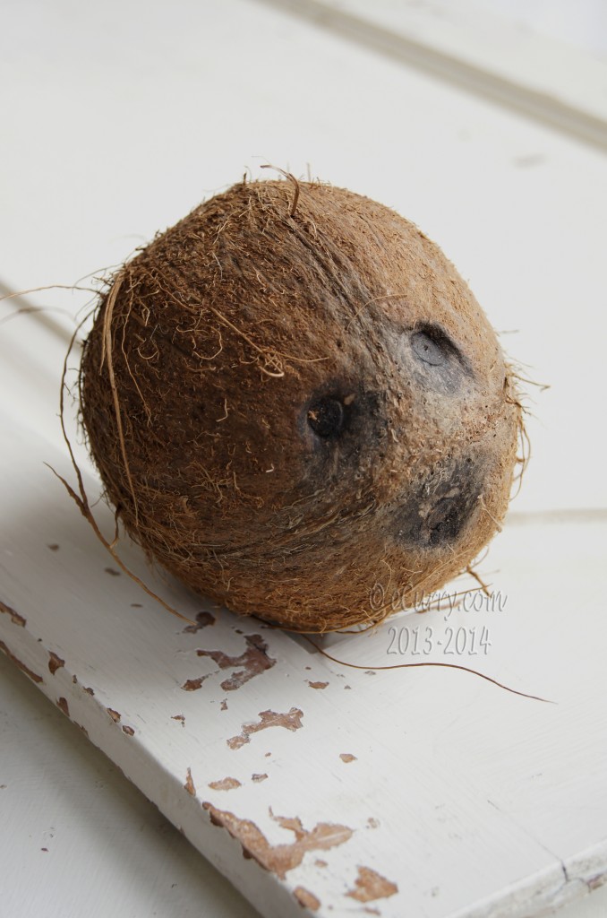 coconut-7.jpg