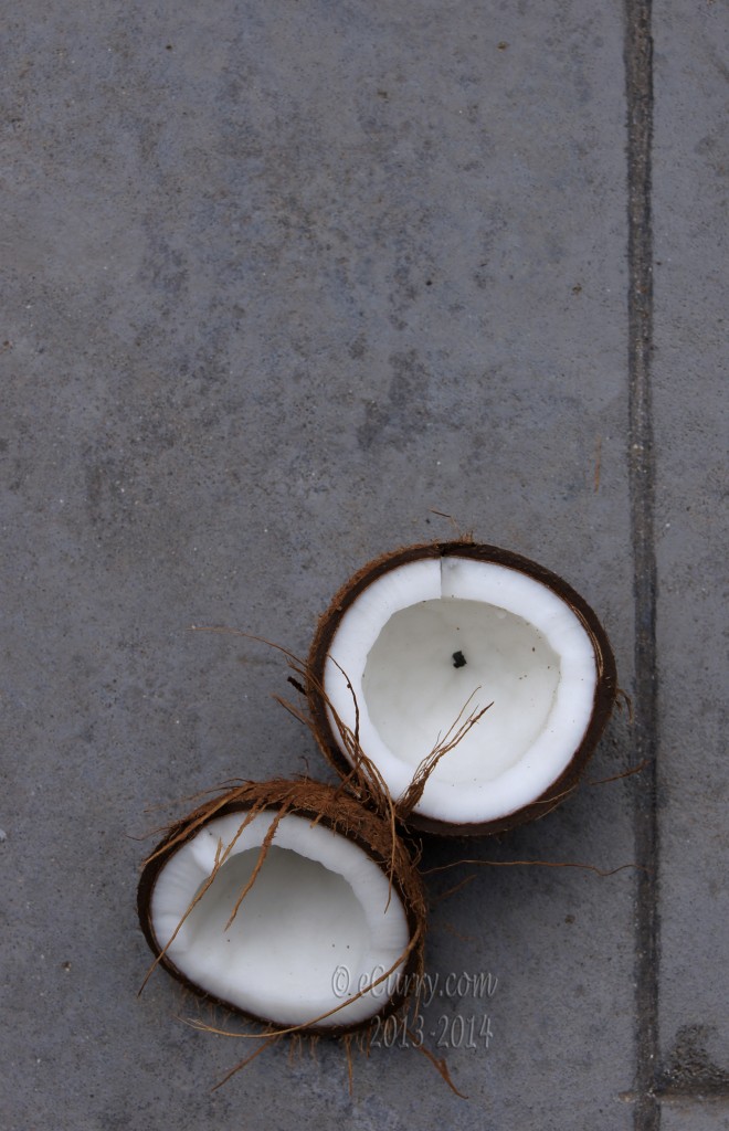 coconut-8.jpg