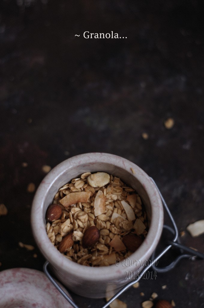 granola-1.jpg