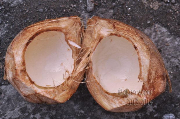 green-coconut-1.jpg