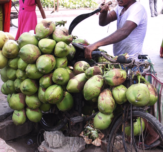 green-coconut-2.jpg