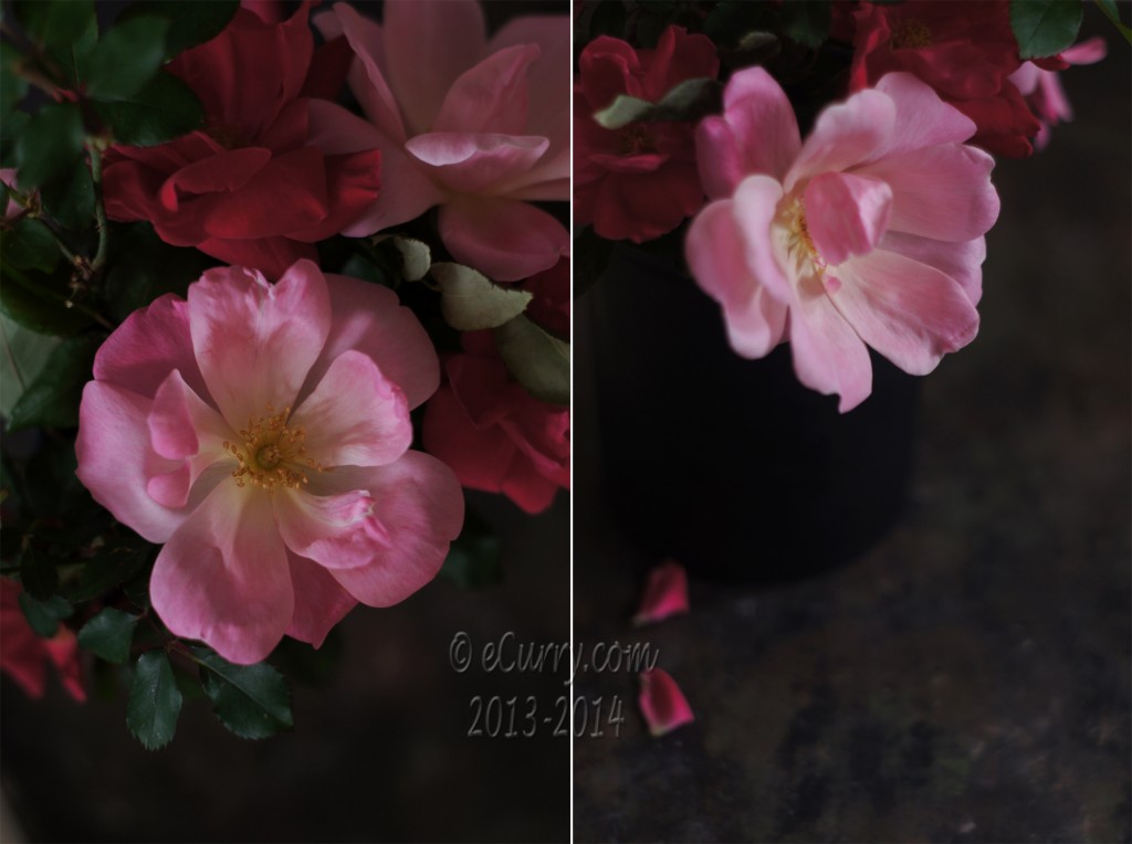 rose diptych 1