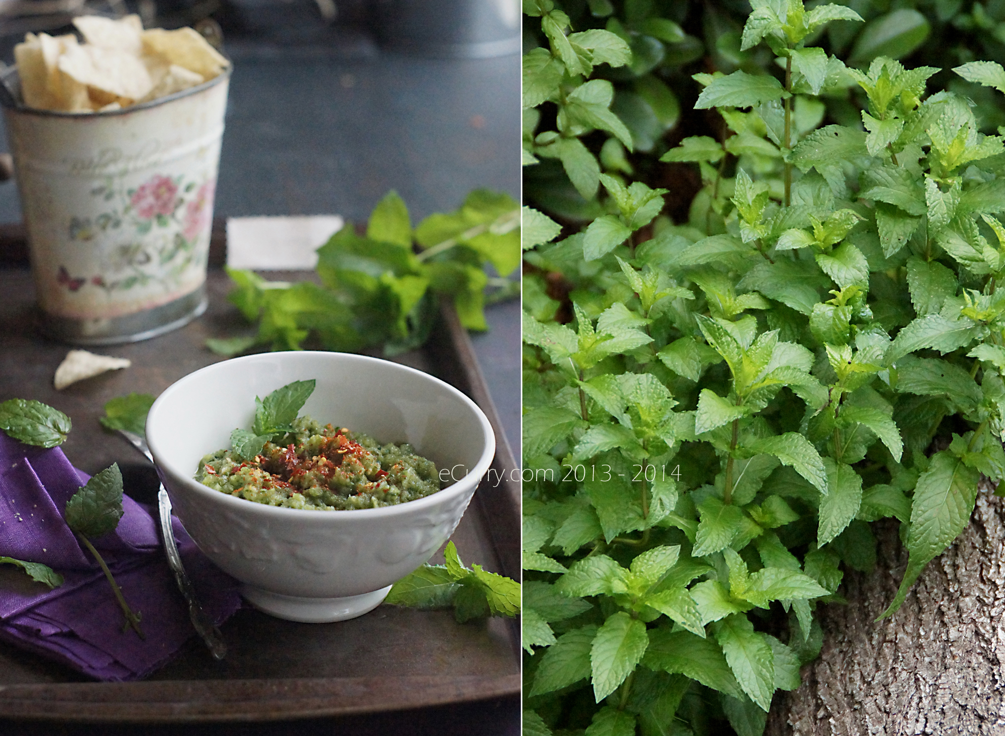 Green mango and Mint Chutney Diptych 1