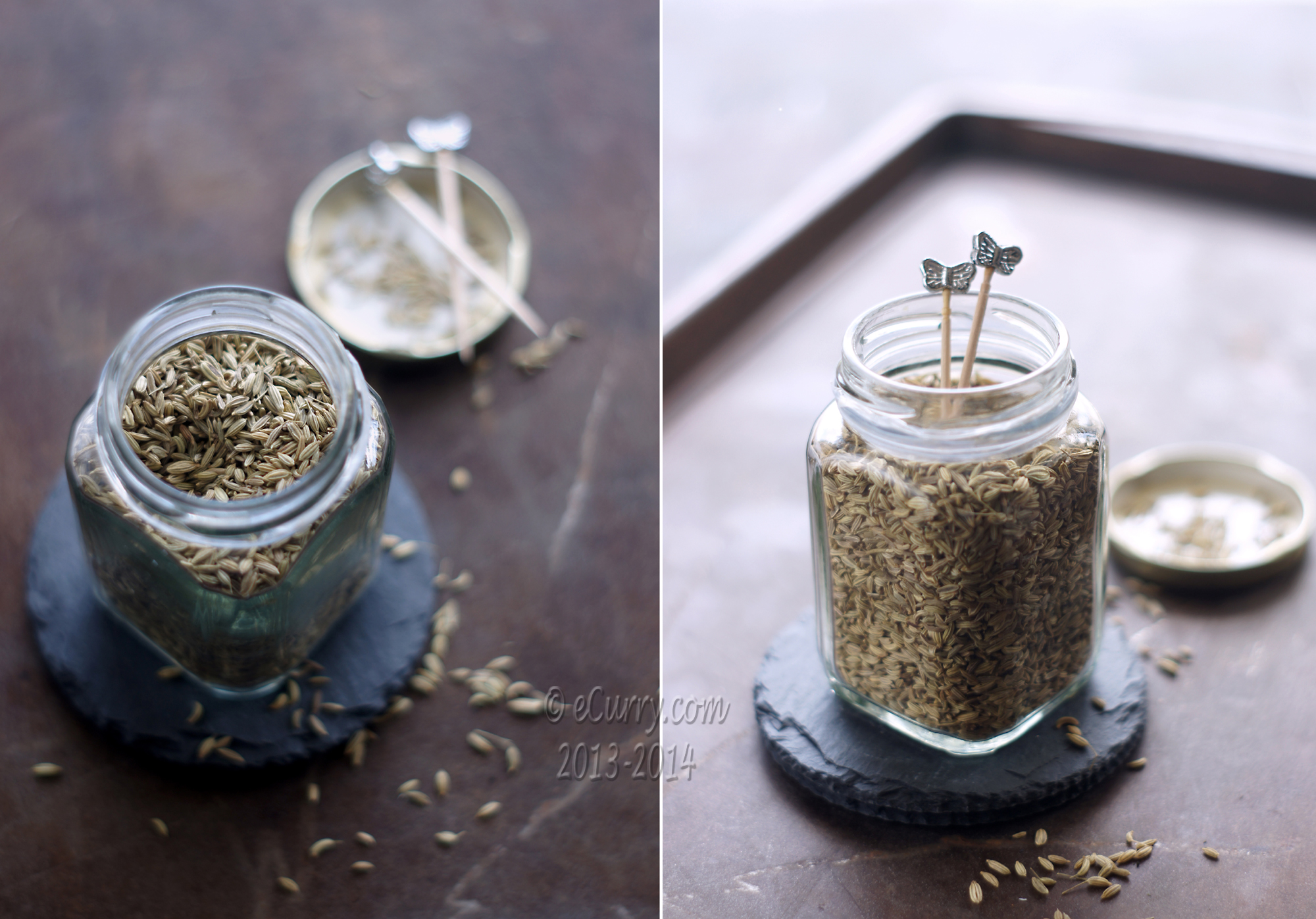 fennel-saunf diptych 1